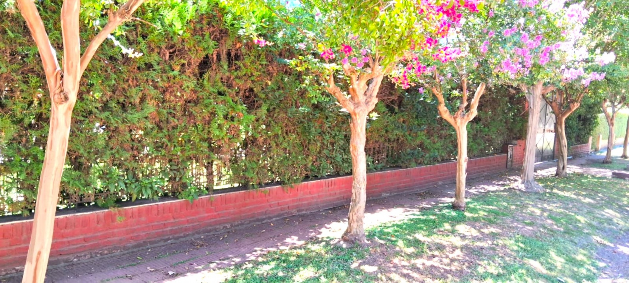 CASAQUINTA EN VENTA 2055M2.- FCO. ALVAREZ, SON TRES LOTES JUNTOS, DOS SON ADYASENTES Y UNO EN MARTILLO CON DOBLE ENTRADA